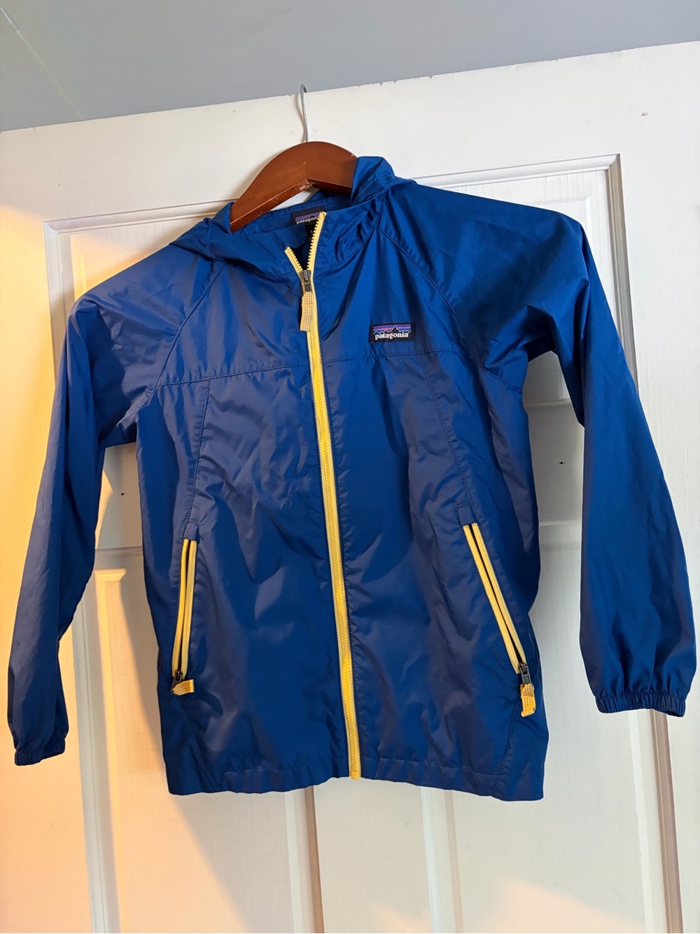 Patagonia Kids' Light & Variable Hoody